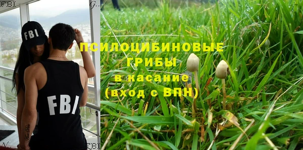 PSILOCYBIN Видное