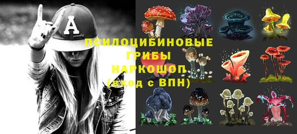 гашиш Няндома